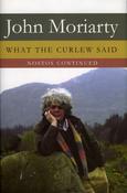 What the Curlew Said: Nostos Continued - Hardcover image
