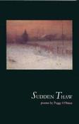Sudden Thaw - Paperback image