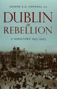 Dublin in Rebellion image