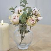 The Shauna Arrangement