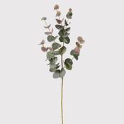 Single Stem Blush Eucalyptus Spray