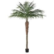 Extra Tall Faux Coconut Palm