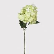 Green Paniculata Grandiflora Hydrangea Spray with Leaves