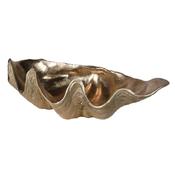 Gold Clam Shell