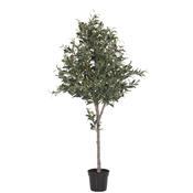 The Large Faux Olive Tree – Classic Black Pot