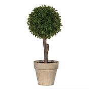 Miniature Boxwood Ball in Aged Brown Pot