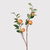 Mediterranian Orange Spray