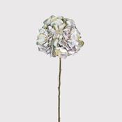 Pale Blue Lavender Hydrangea image