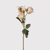 Soft Pink Vintage Rose Spray with Leaves image