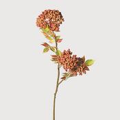 Sorbus Berries Branch