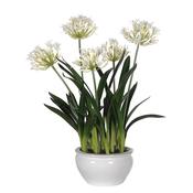 White Agapanthus in Artisan Glazed Bowl