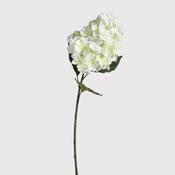 White Paniculata Grandiflora Hydrangea Spray with Leaves