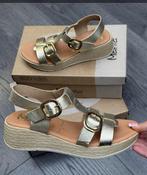 Marila Champagne Platform Wedge Sandals in Grain Leather with Gold Buckles image