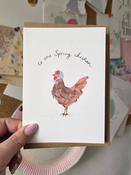 One Spring chicken!