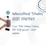 Intercultural Studies Course - QQI Level 5 - 5N0765