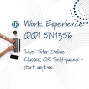 Work Experience Course - QQI Level 5 - 5N1356