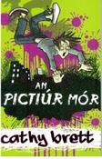An Pictiúr Mór