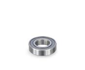 RS 6901 BEARING