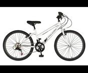 FALCON FALCON AURORA  24"