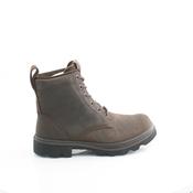 214713 GRAINER ECCO 23 image