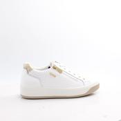 76565 IGI&amp;CO 25