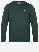 REG SHIELD C-NECK SWEAT-Tartan Green image