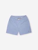 Traveler Stripe Swimming Trunk Blue