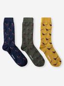 Pheasant Socks Gift Set Forest image