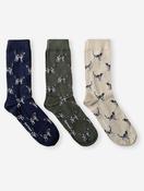 Pointer Dog Socks Gift Set Cordovan image