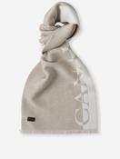 Wool Logo Scarf Brown image