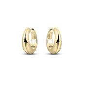 Polished Hoops image