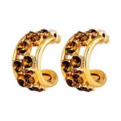 Astor SG Brown Earrings