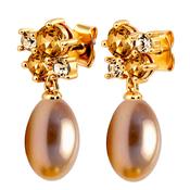 Petun SG Golden Earrings image