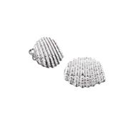 Shell Stud Earrings