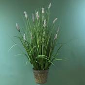 Lavender Pot image