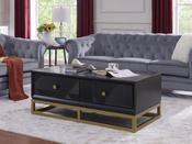 Florida Coffee Table image