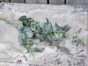 Fleur Branch with Leaves