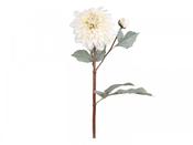 Fleur Dahlia