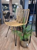 Autumn Rattan Chair