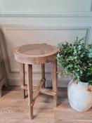 Alison Counter Stool image