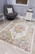 Natural Distressed Rug image