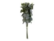 Fleur Eucalyptus Bouquet image