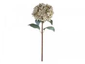 Fleur Hydrangea w. leaves