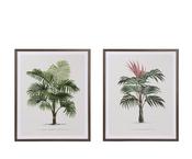 Framed print palm tree set 2 image