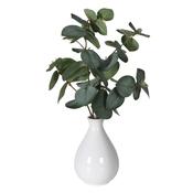 Eucalyptus in White Ceramic Vase image