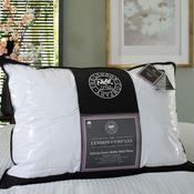 THE LYNDON COMPANY Soft as Down Baffle Wall Pillow White image