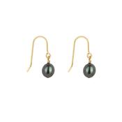 Navy Gold Drop Pearl Earrings image
