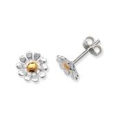 Silver Daisy Studs image