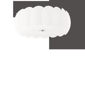 OVALINO PL8 image