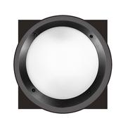 POLAR-1 AP1 BLACK